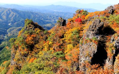 紅葉を見に行こうよう(ΘェΘ)♪