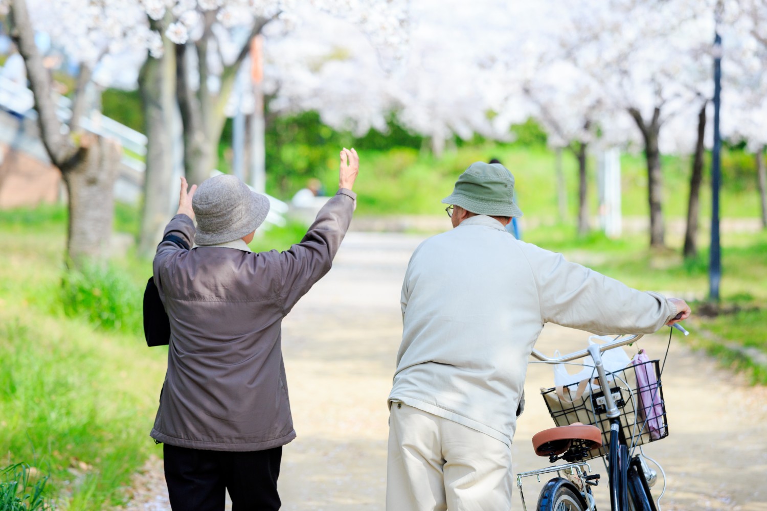 シニア世代の夫婦が散歩をしている様子