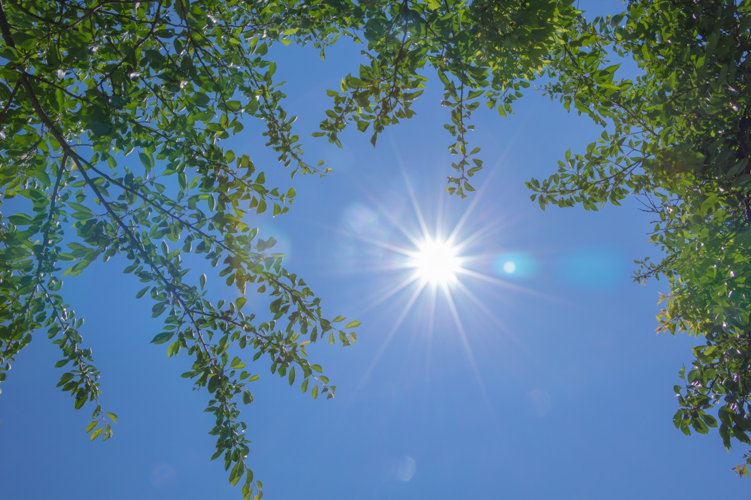 炎天下のイメージ写真